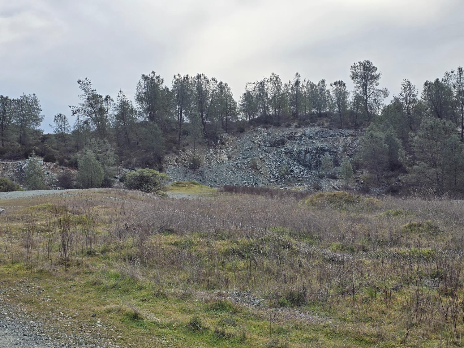 0 Lisa Lane Placerville, CA 95667 - Photo 3 of 4 a view of a dry yard with trees in back