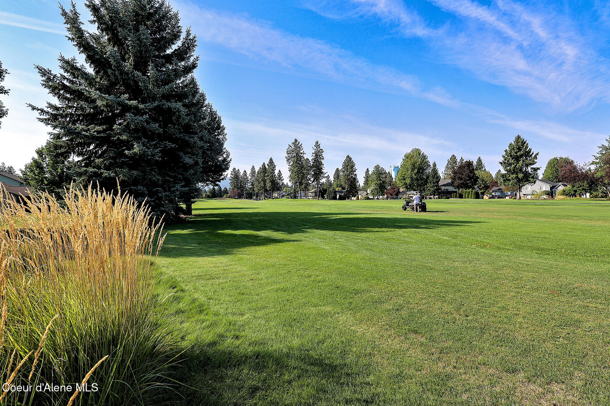 2815 North Slice Drive Post Falls, ID 83854 - Photo 43 of 55 3rd Fairway