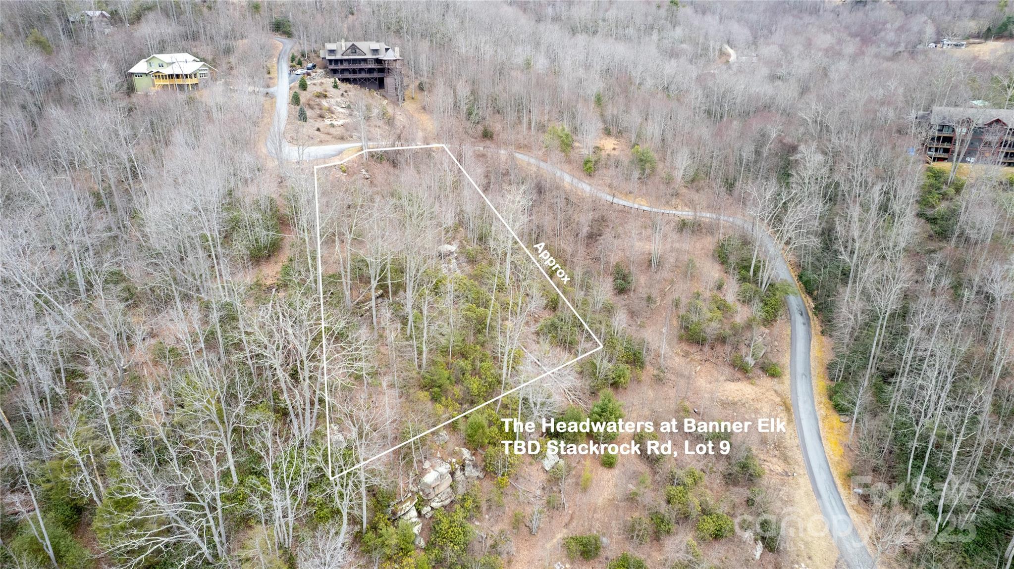 a close up of a plant in a bathroom