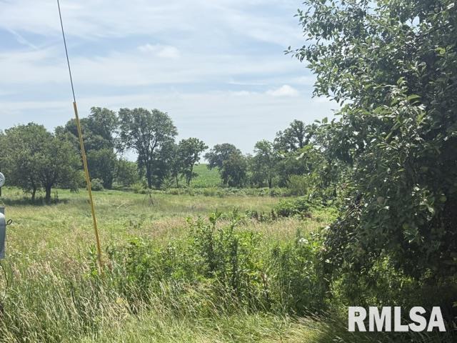 14312 Appenzeller Road Mackinaw, IL 61755 - Photo 2 of 7