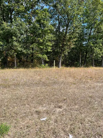 $159,000 | 70.66 Acres M-55, Manistee, MI 49660
