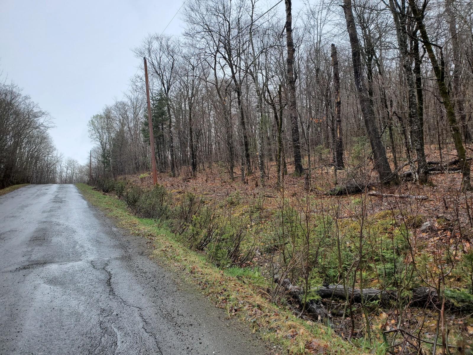 L-7 Baker Ridge Road Danforth, ME 04424 - Photo 4 of 4 20210430_133549