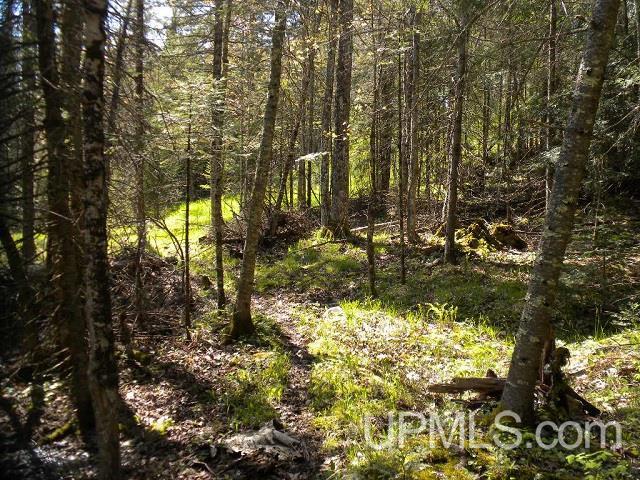 Tbd Clement Road Saxon, WI 54559 - Photo 21 of 34