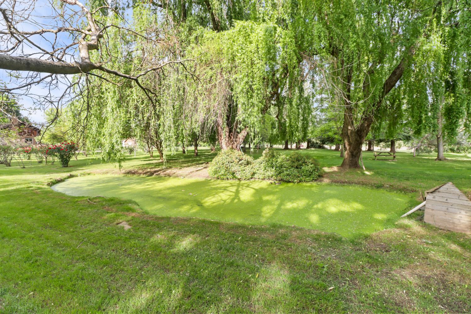 1939 U Street Elverta, CA 95626 - Photo 41 of 53