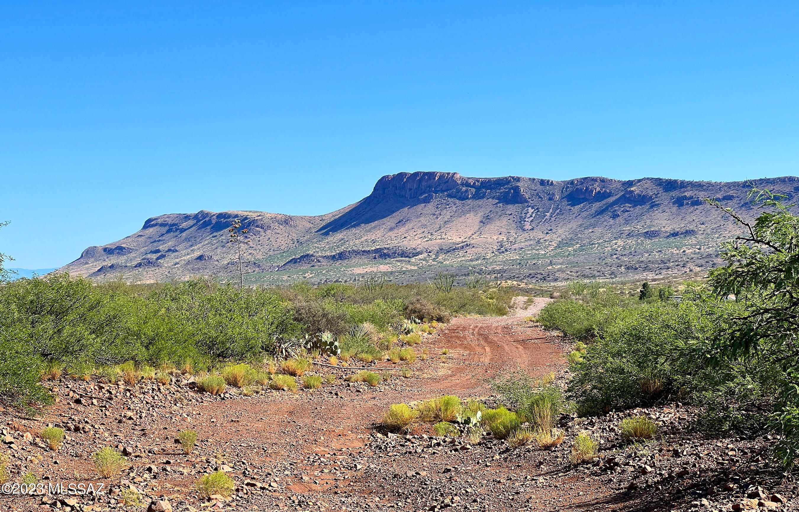Tbd 80-ac North Pedregosa Road Douglas, AZ 85607 - Photo 17 of 25 Gallery Image 17