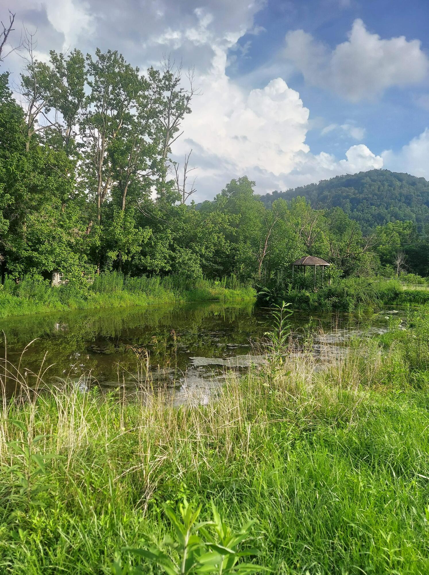 1845 Cow Creek Road Ravenna, KY 40472 - Photo 9 of 30 E60BD03C-F45D-4BEF-958A-707B7DA6A812