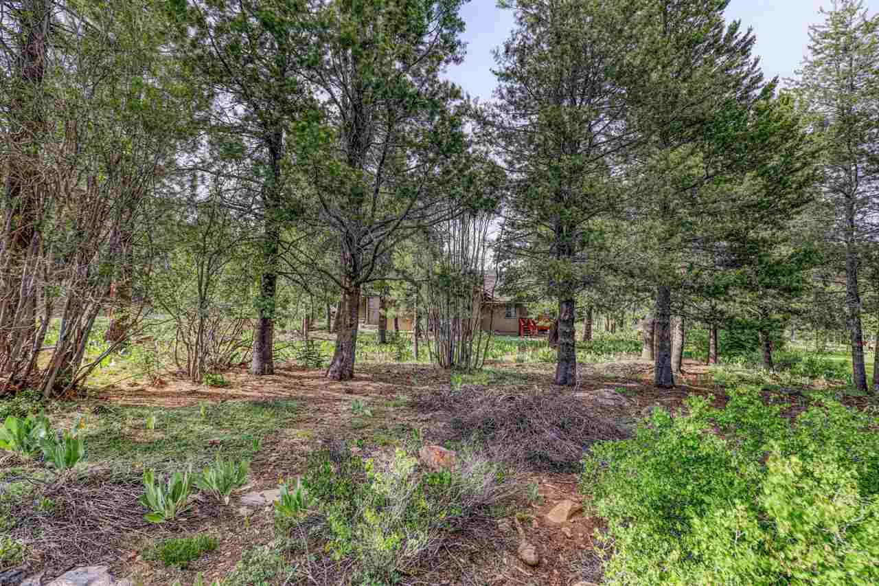 12349 Springbrook Place Truckee, CA 96161 - Photo 1 of 18 Gallery Image 1