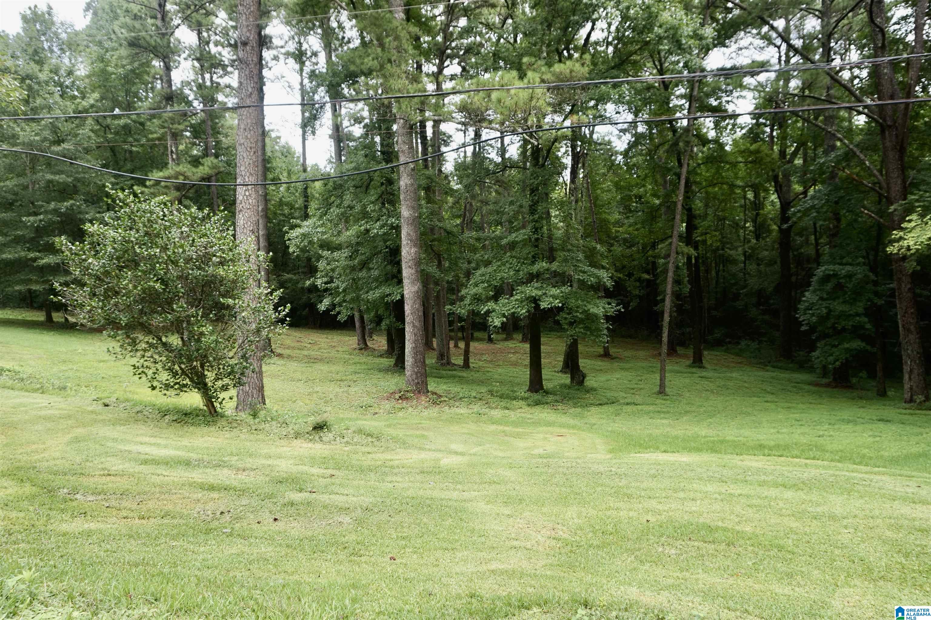 2240 Pawnee Village Road Birmingham, AL 35217 - Photo 64 of 68