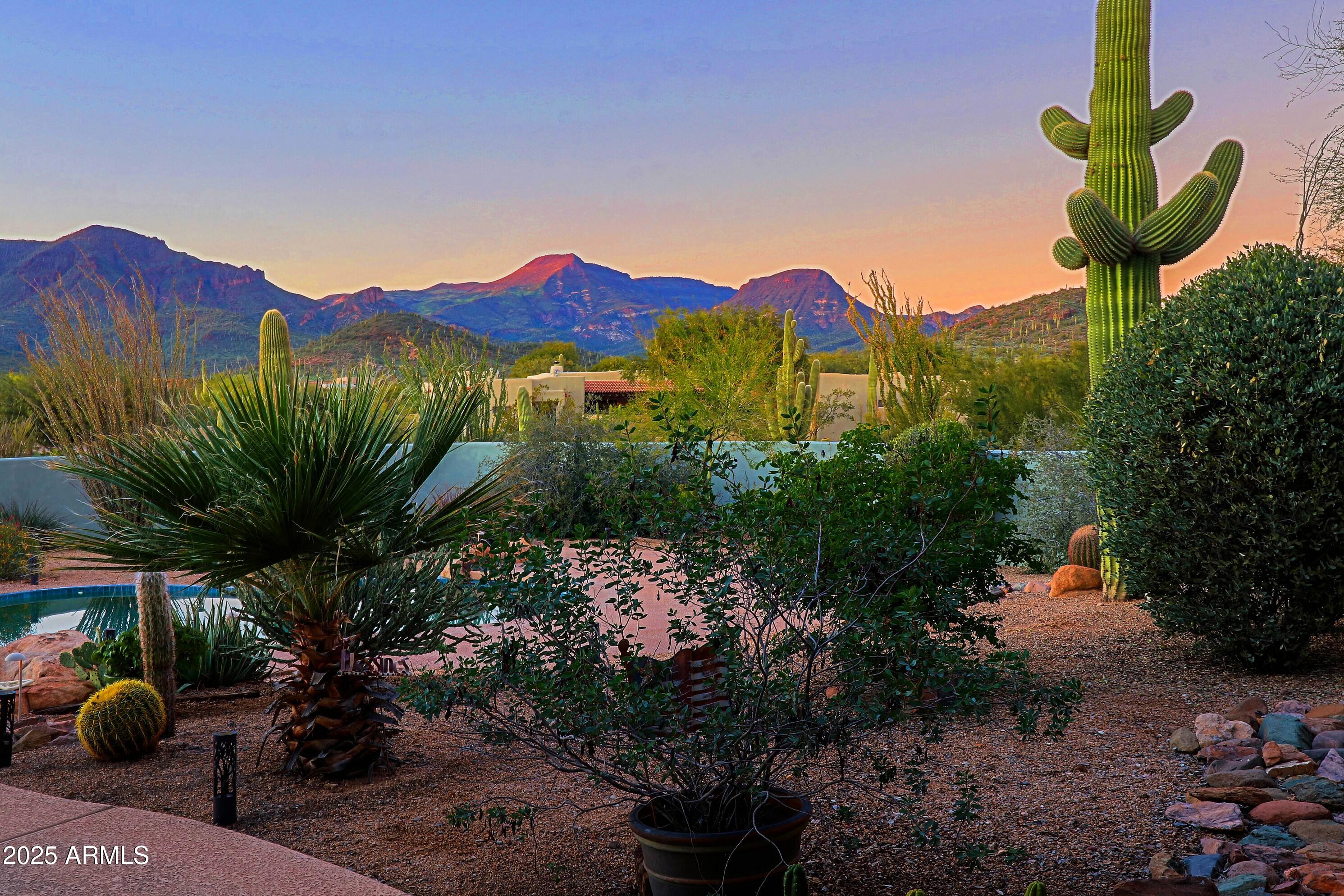 41840 North Spur Cross Road Cave Creek, AZ 85331 - Photo 32 of 67 Backyard 18