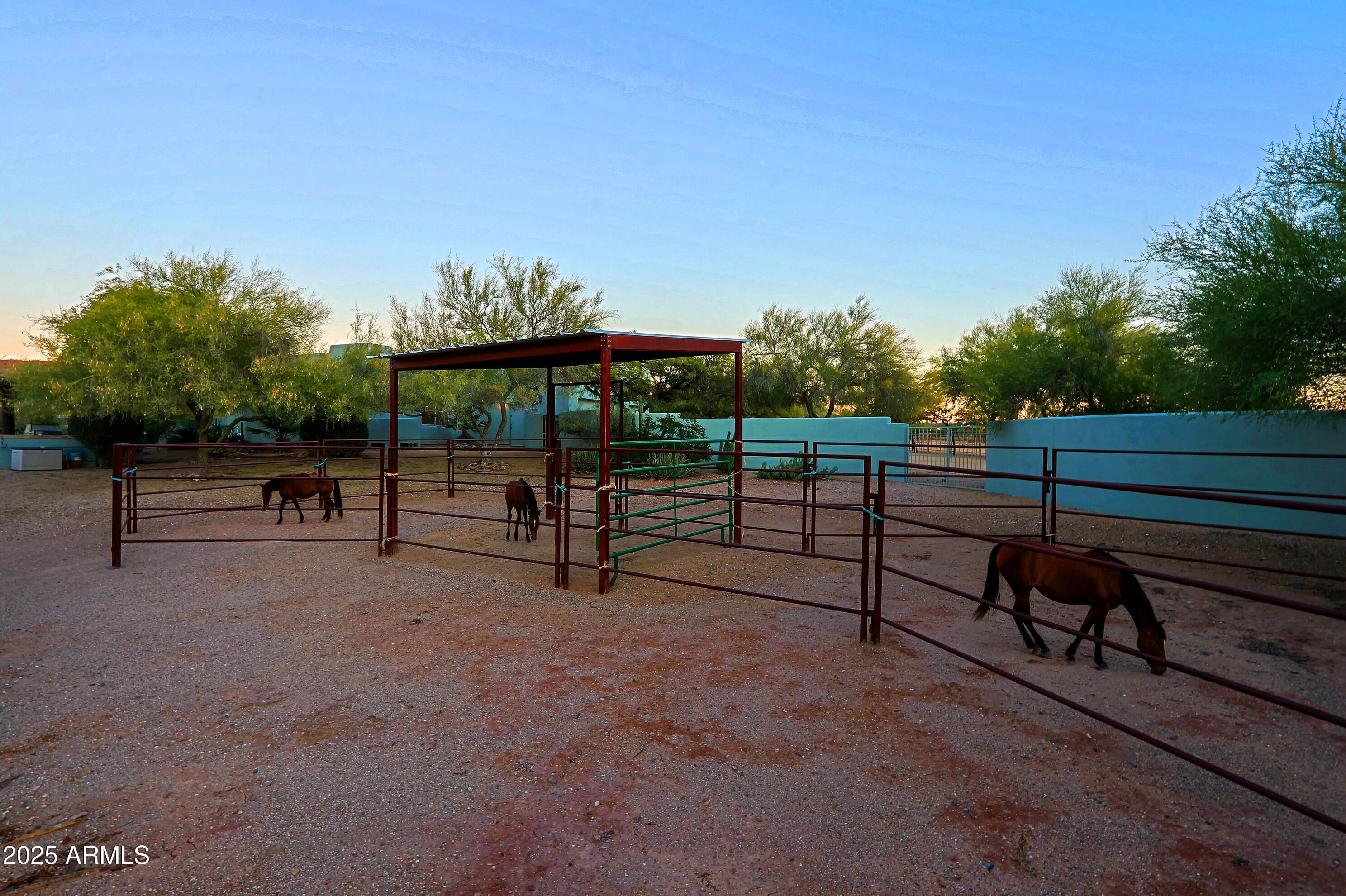 41840 North Spur Cross Road Cave Creek, AZ 85331 - Photo 35 of 67 Backyard Corral 2
