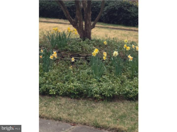 22 Gill Road Haddonfield, NJ 08033 - Photo 21 of 21 Front Yard
