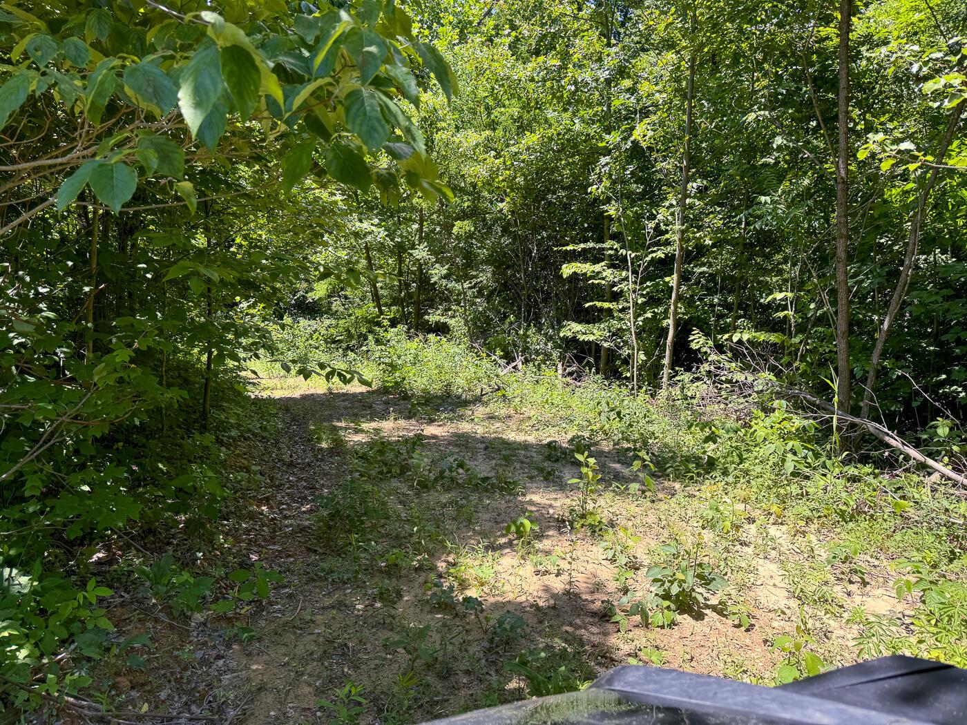 4313 Flint Ridge Road Northeast, Unit INT RIDGE TRACT 18 ACRE) Crooksville, OH 43731 - Photo 23 of 53 CT-23
