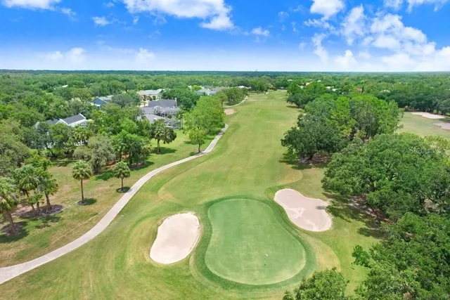a view of a swimming pool with a yard