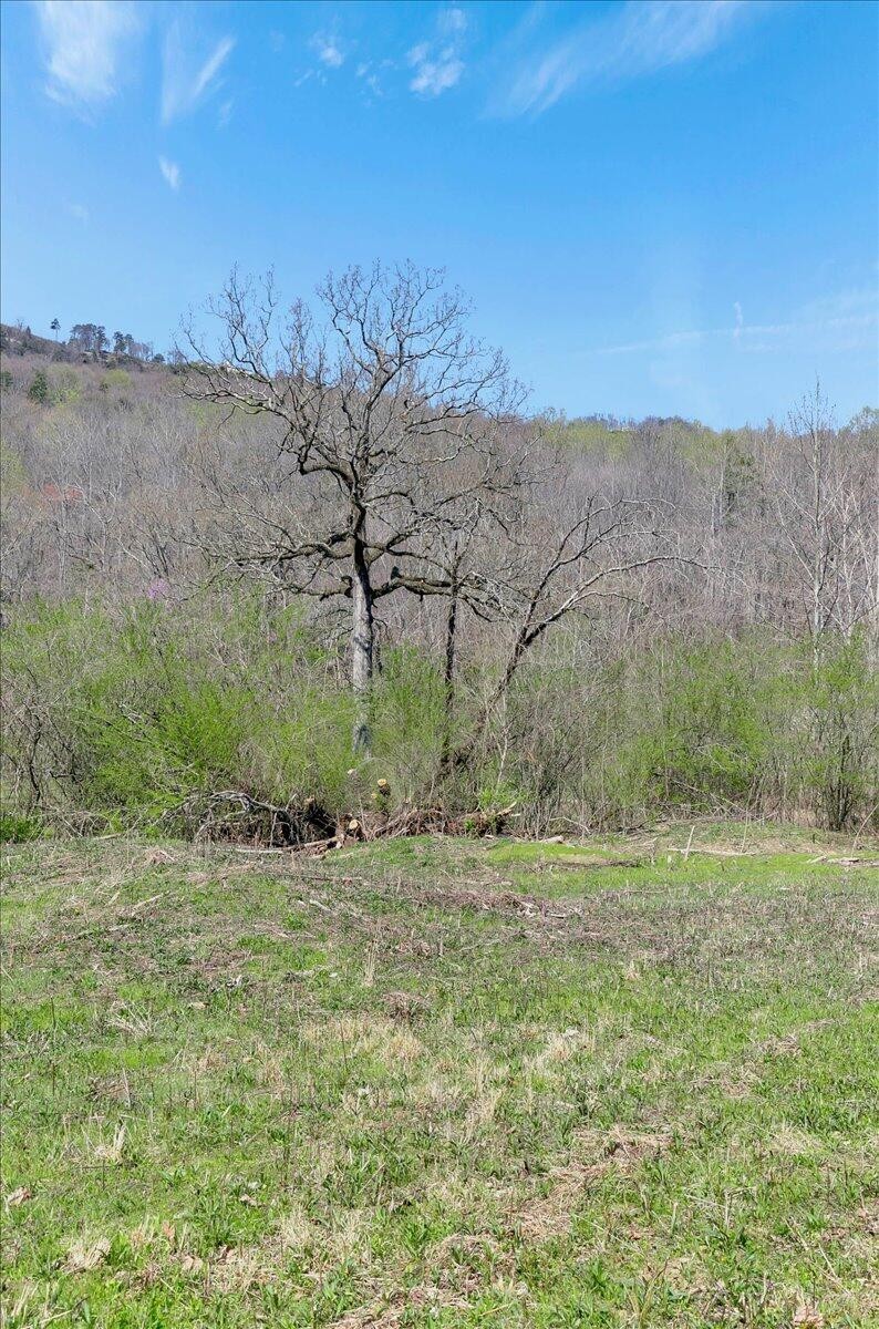 1009 Reads Lake Road Chattanooga, TN 37415 - Photo 3 of 16 Gallery Image 3
