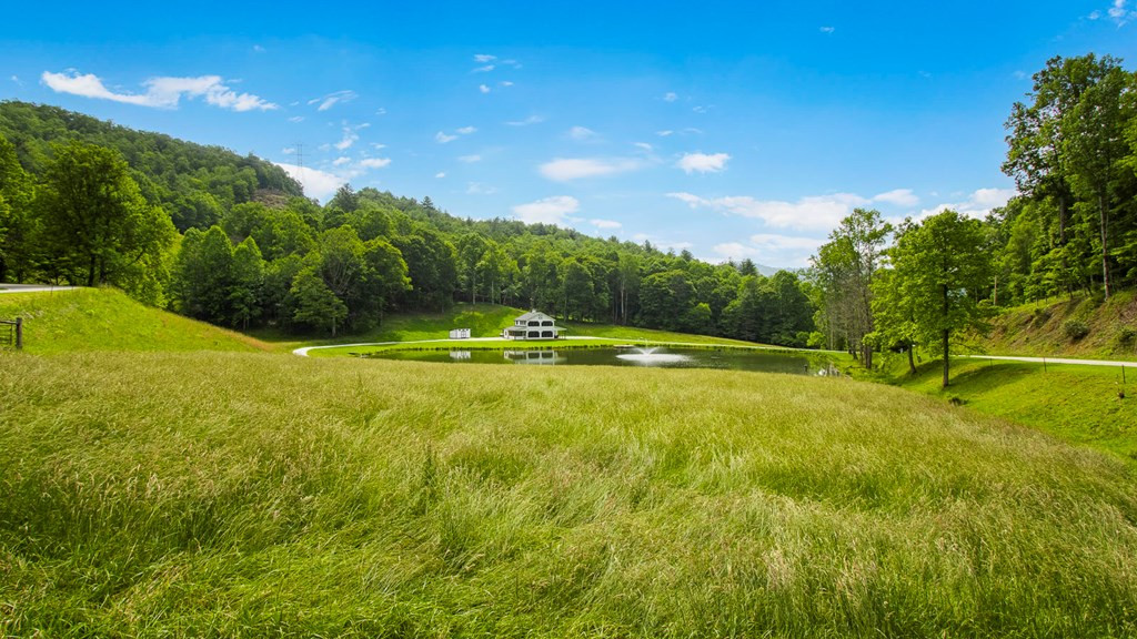 1651 Winding Stairs Road Topton, NC 28781 - Photo 5 of 100