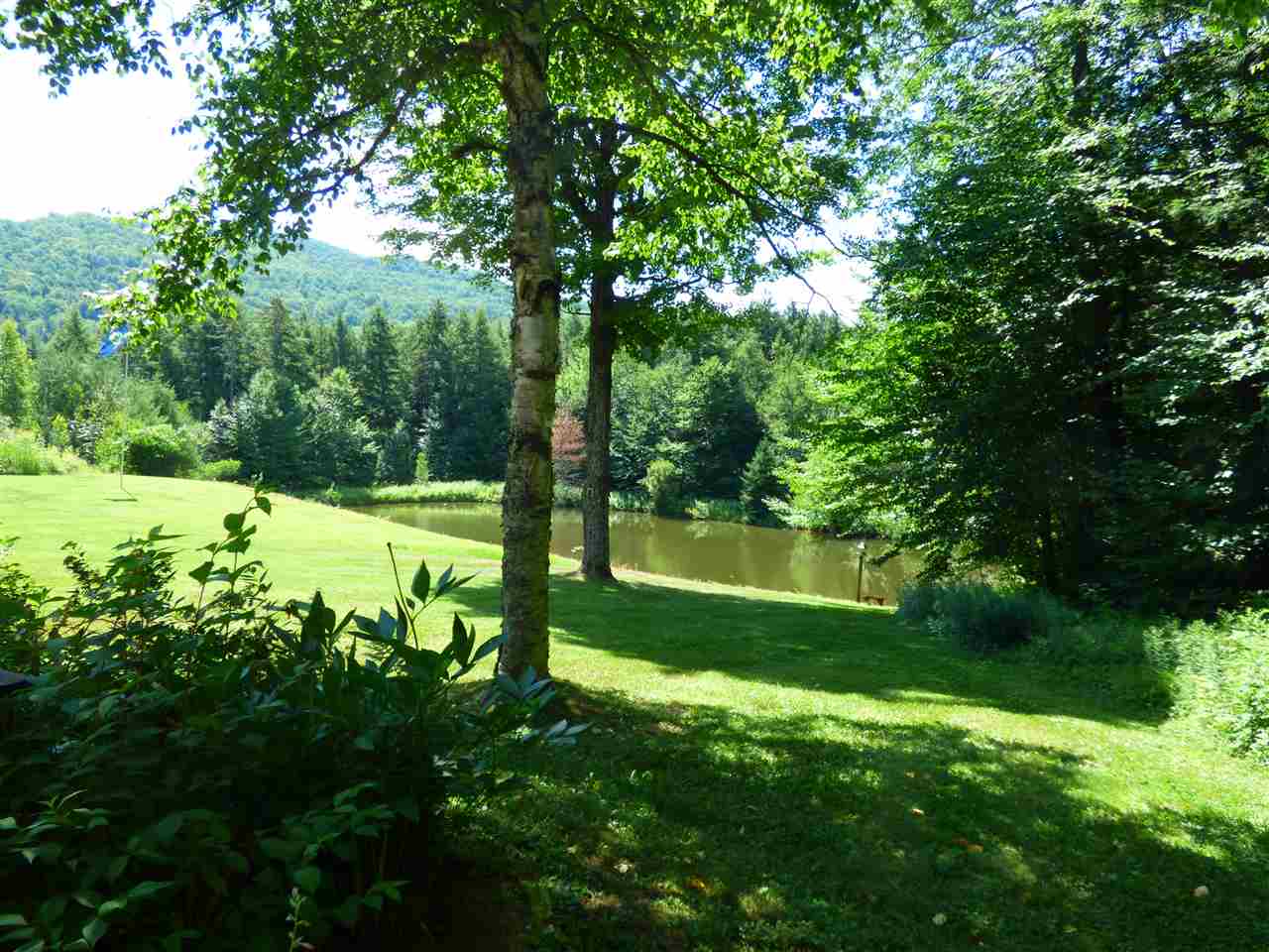 282 Slayton Farm Road Stowe, VT 05672 - Photo 2 of 40