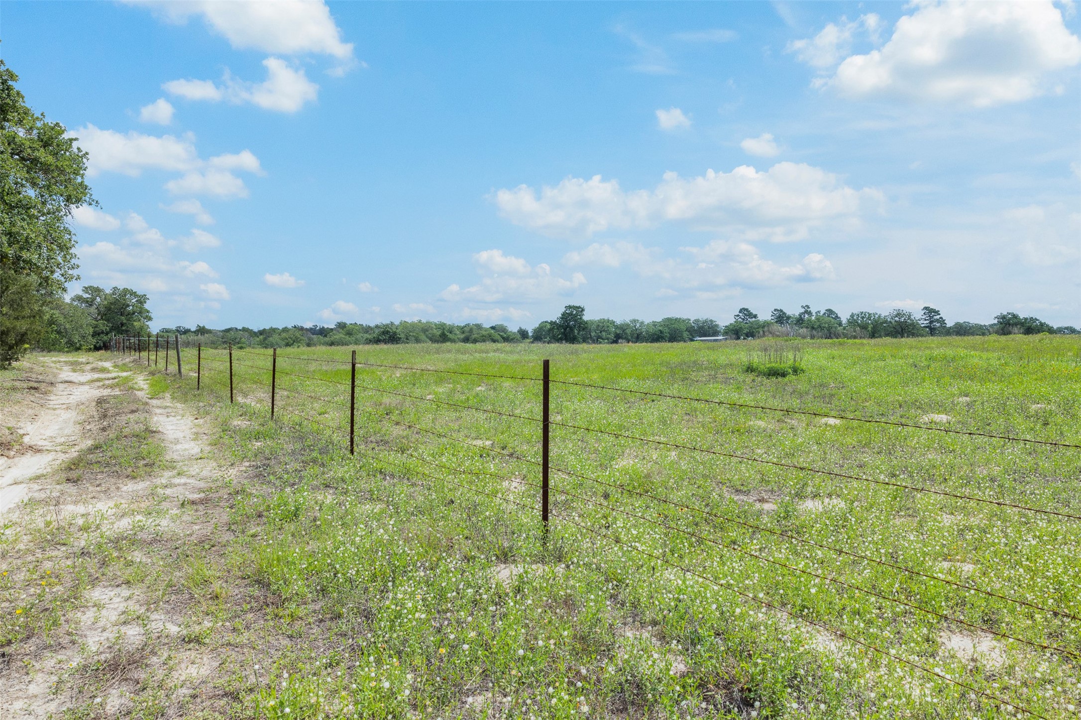 622 Red Rock Ranch Road Red Rock, TX 78662 - Photo 21 of 46 a view of a field with ocean view