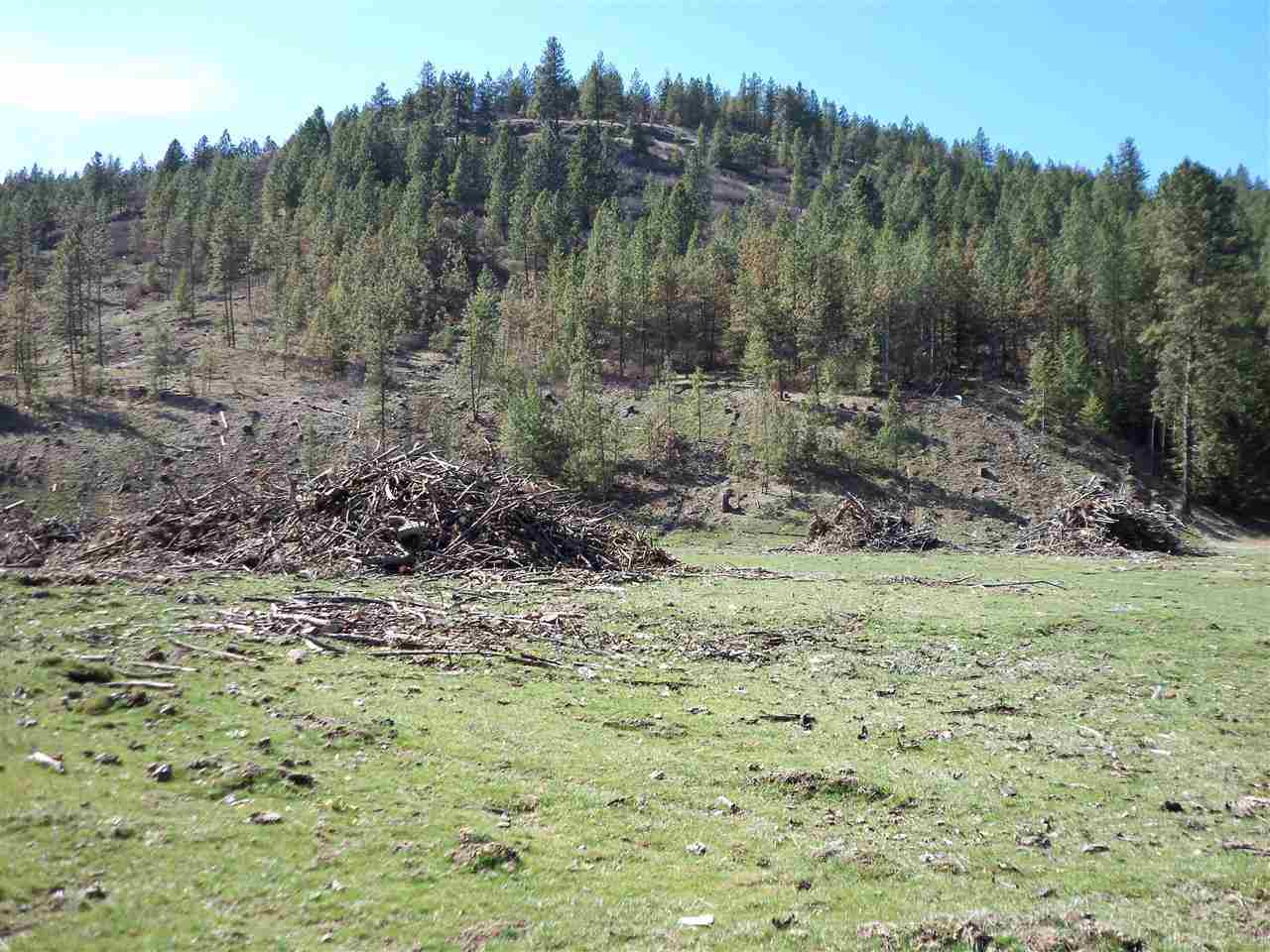 Xx Valley Chapel Road Valleyford, WA 99036 - Photo 12 of 16 Gallery Image 12
