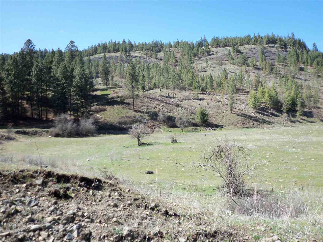 Xx Valley Chapel Road Valleyford, WA 99036 - Photo 10 of 16 Gallery Image 10