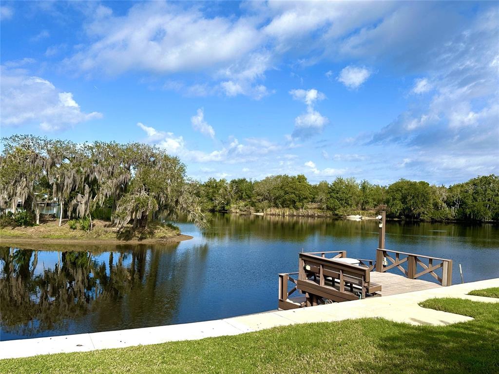 0 Berry Hill Road Holiday, FL 34690 - Photo 27 of 43