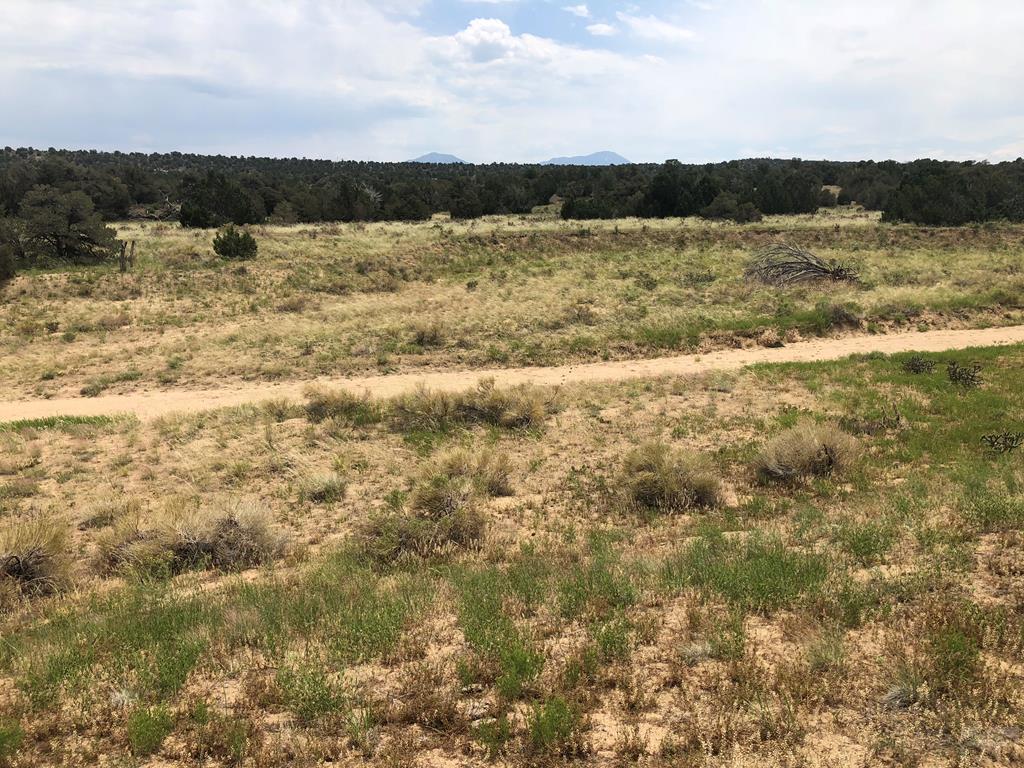 87-119 Twin Lakes Road Walsenburg, CO 81089 - Photo 16 of 21