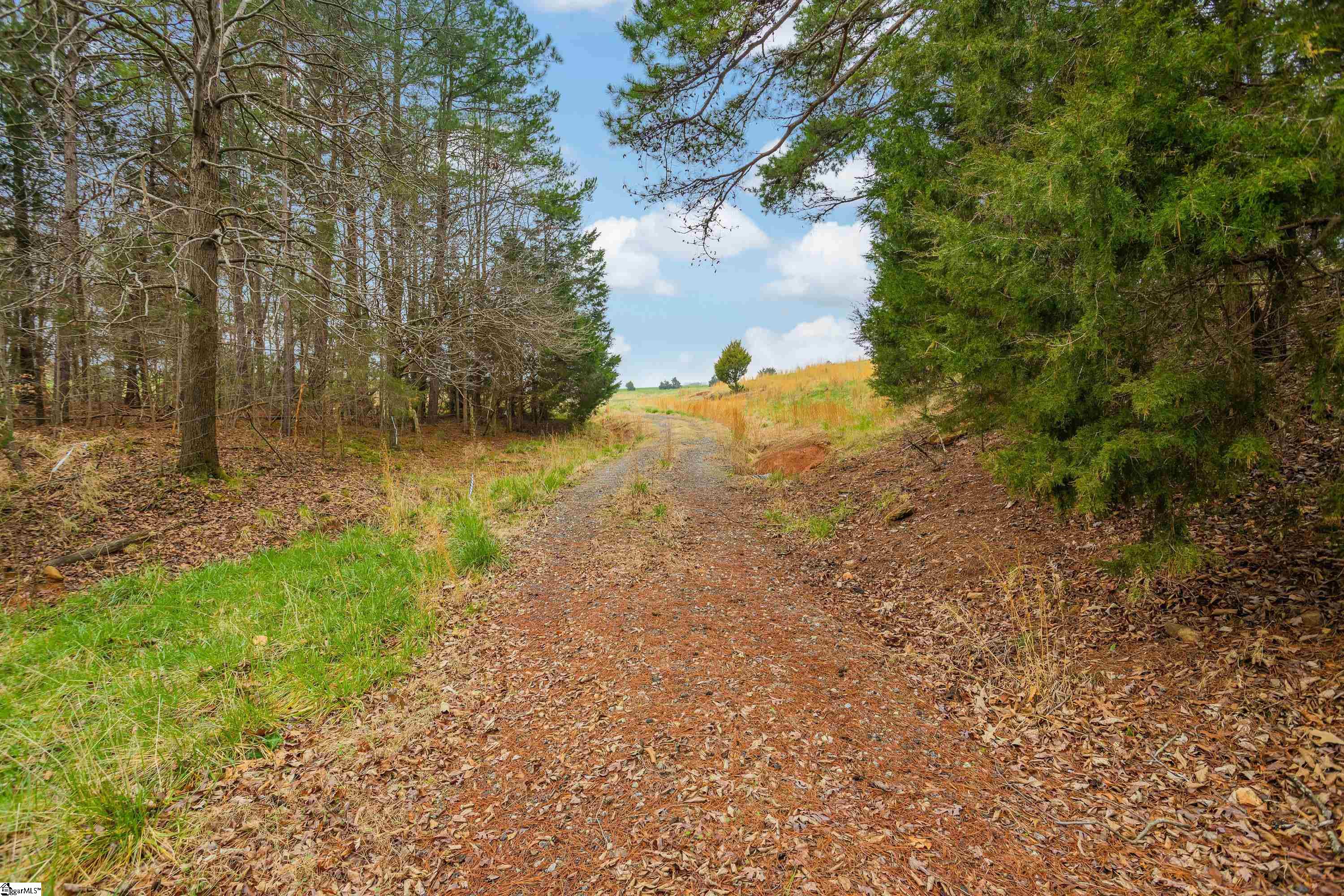 0 Blanton Estate Road, Unit LOT 1 Gaffney, SC 29341 - Photo 11 of 16