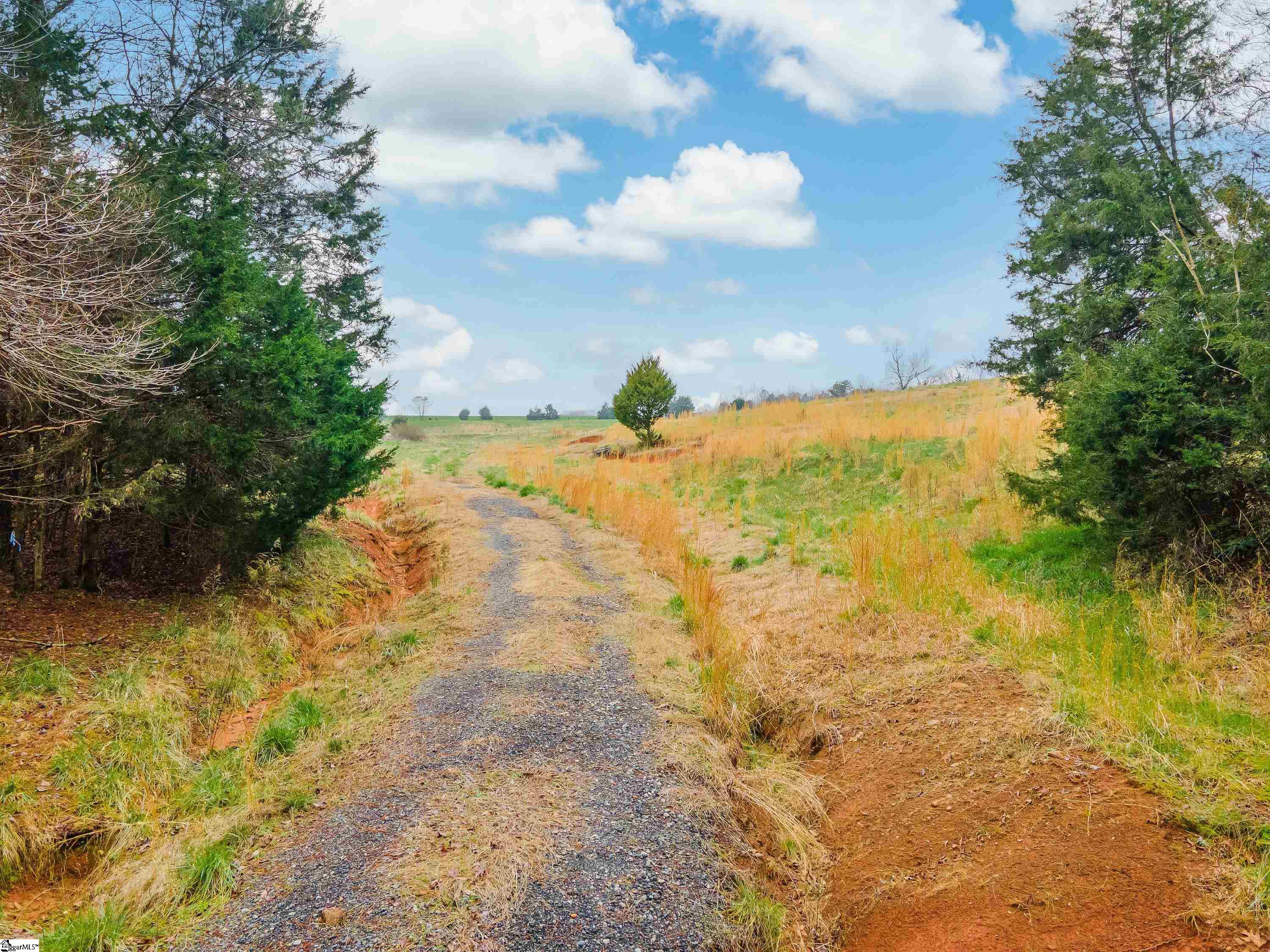 0 Blanton Estate Road, Unit LOT 1 Gaffney, SC 29341 - Photo 7 of 16