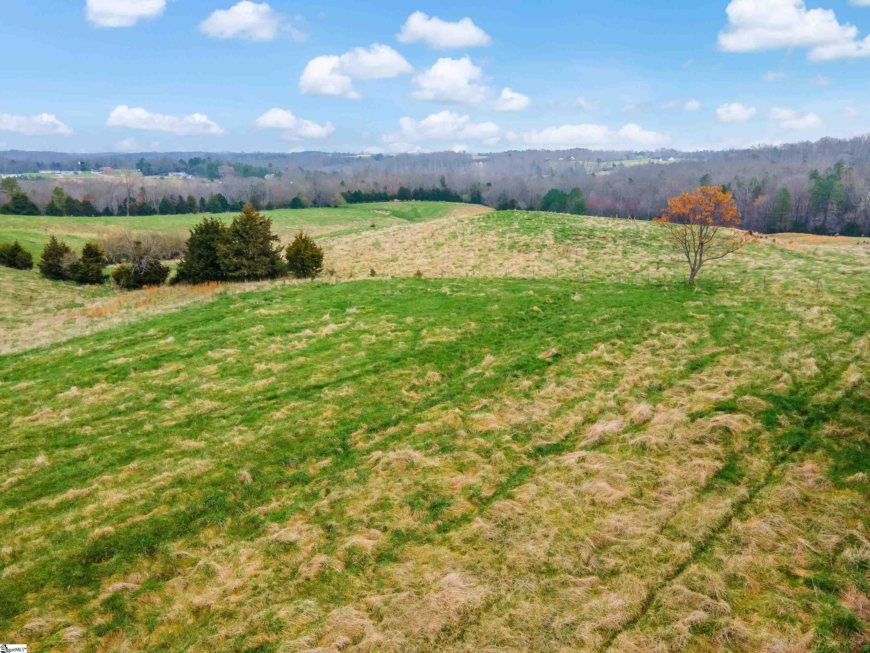 0 Blanton Estate Road, Unit LOT 1 Gaffney, SC 29341 - Photo 8 of 16