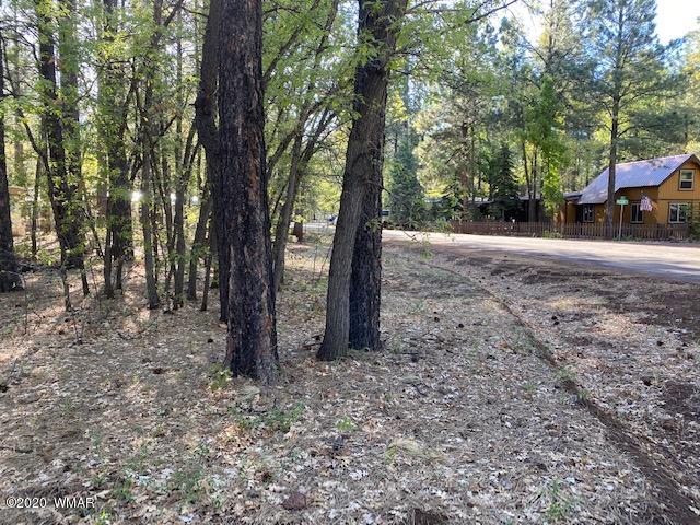 5295 South Blue Ridge Loop Pinetop, AZ 85935 - Photo 3 of 5