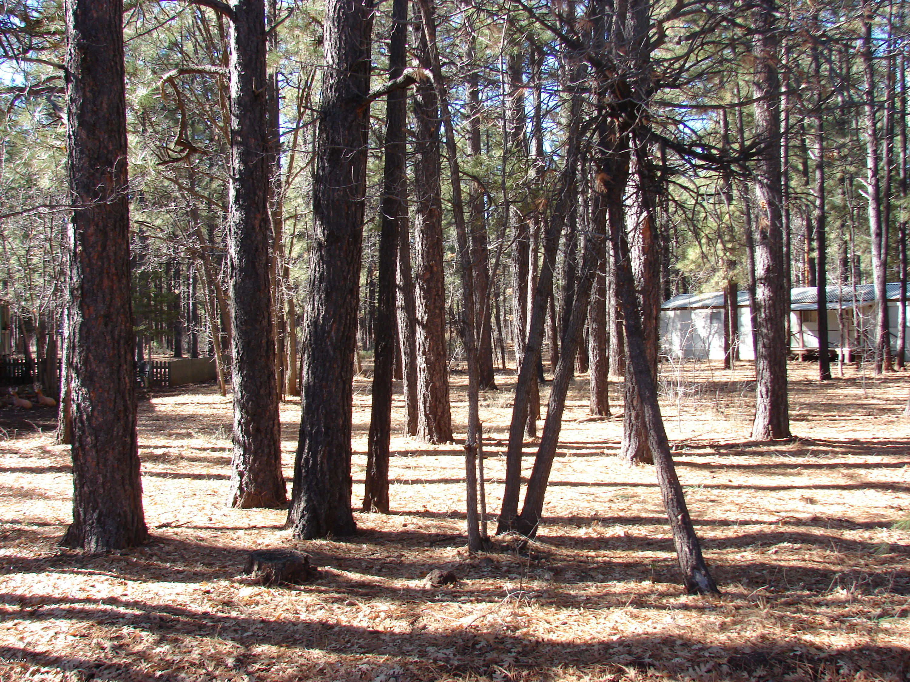 5295 South Blue Ridge Loop Pinetop, AZ 85935 - Photo 4 of 5