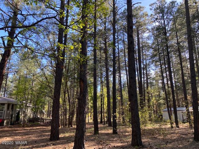 5295 South Blue Ridge Loop Pinetop, AZ 85935 - Photo 5 of 5