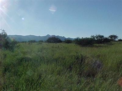 0 East Horse Ranch Road, Unit 50 St. David, AZ 85630 - Photo 3 of 3