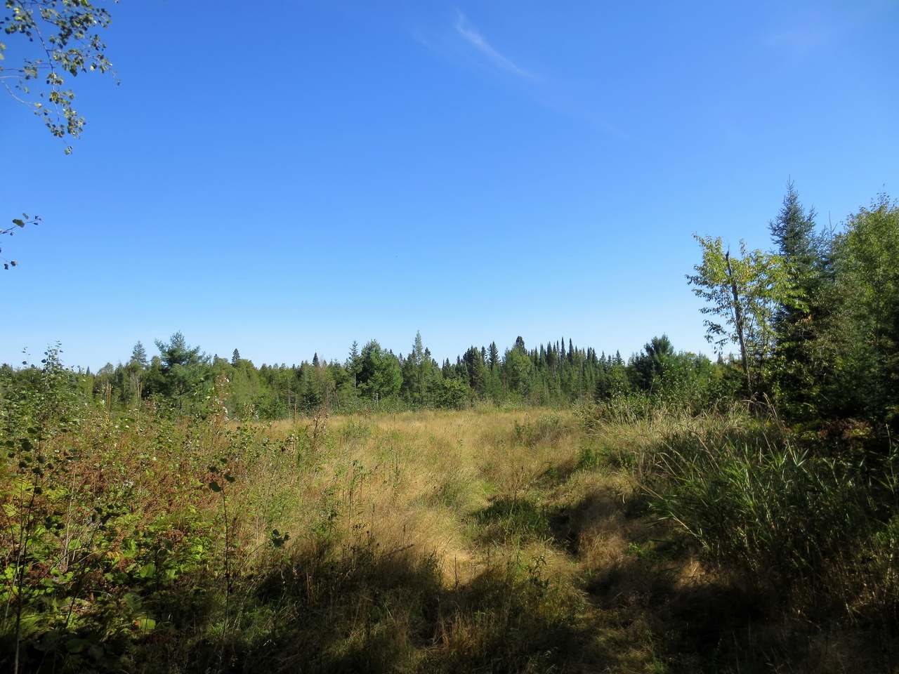 2979 Hwy 8 Rhinelander Wi 54501 Rhinelander, WI 54501 - Photo 3 of 12 Gallery Image 3