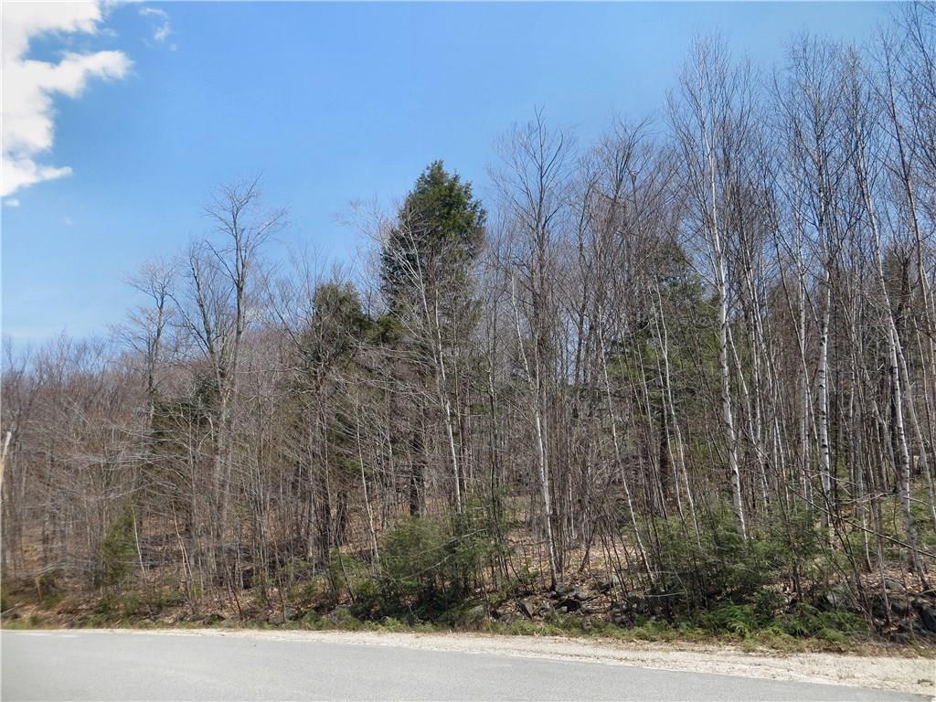 Lot 76 Douglas Road Newry, ME 04261 - Photo 2 of 14 Douglas road and Home Site area
