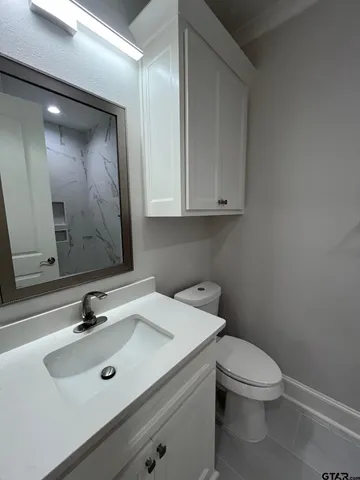a bathroom with a sink a toilet and mirror