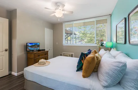 a bedroom with a bed and a tv