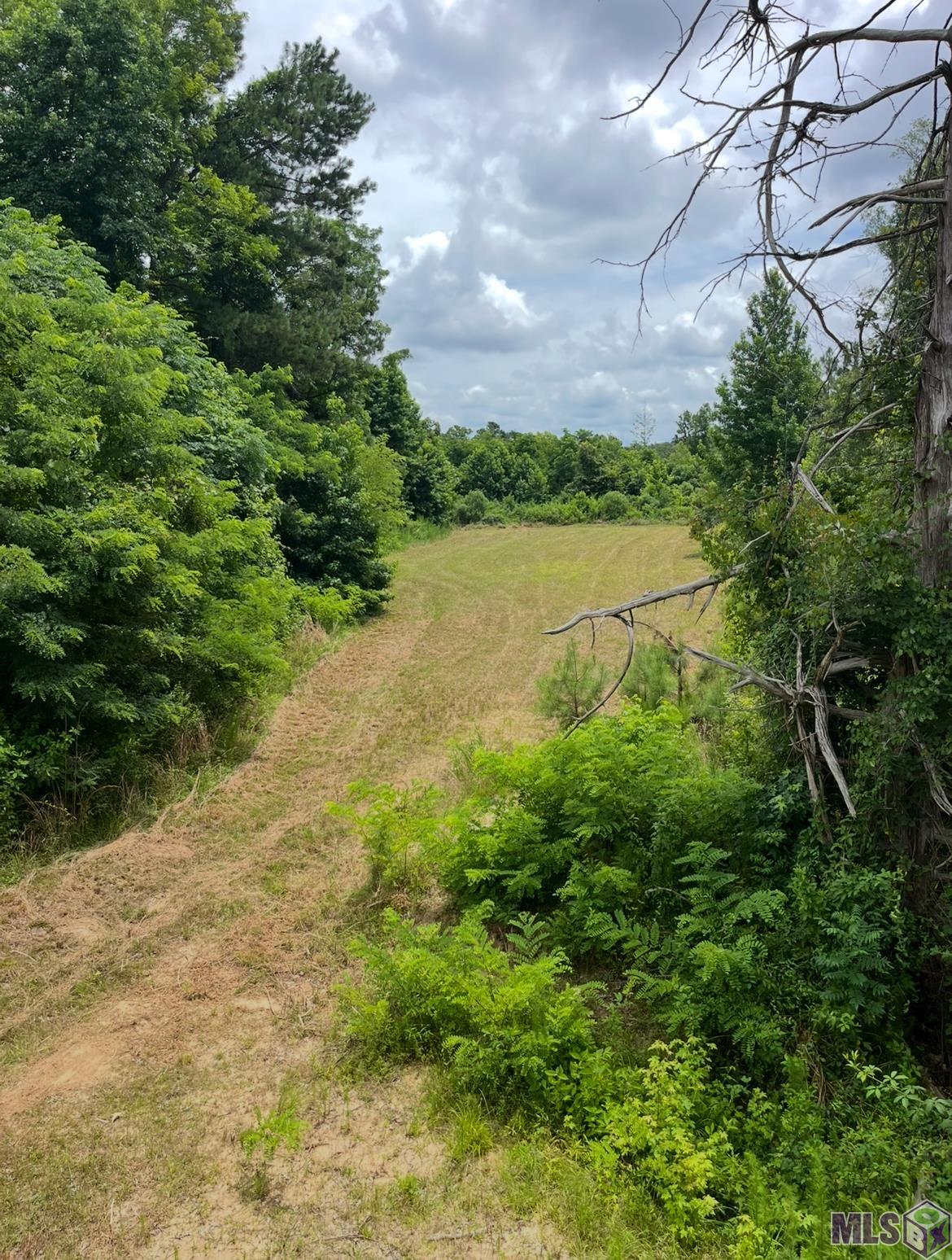 11255 Old Port Gibson Road Port Gibson, MS 39150 - Photo 23 of 32