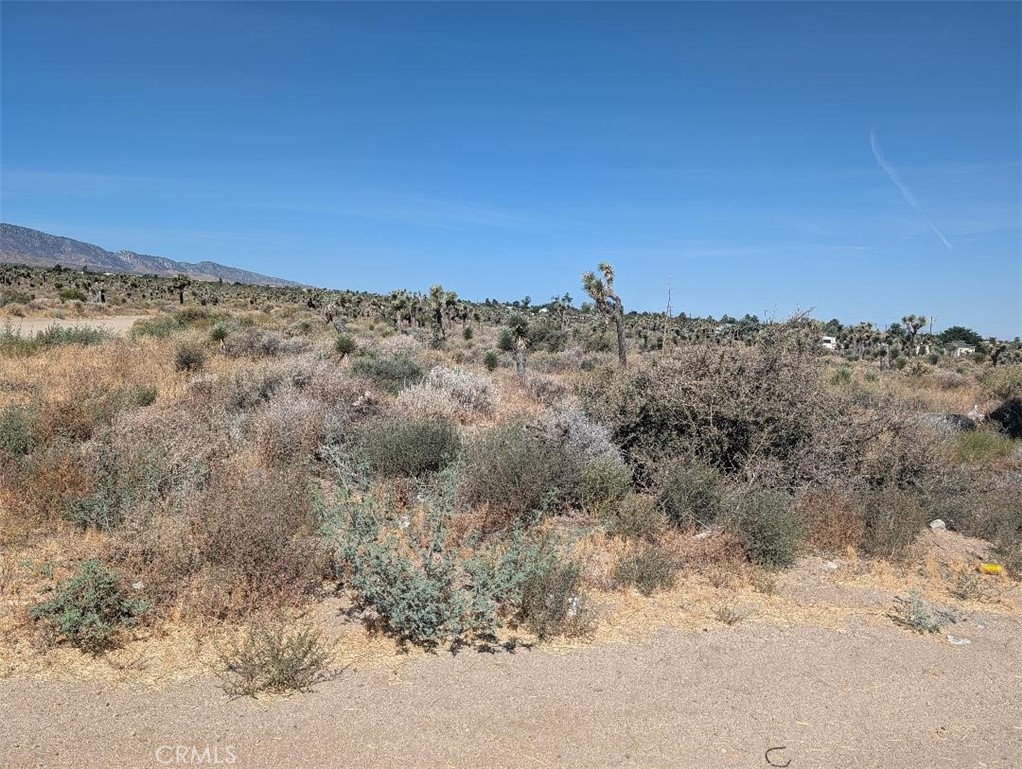 12 Sheep Creek Road Phelan, CA 92371 - Photo 3 of 7 Gallery Image 3
