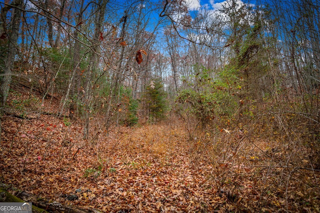 5.97-ac Bullen Gap Road Blue Ridge, GA 30513 - Photo 6 of 11