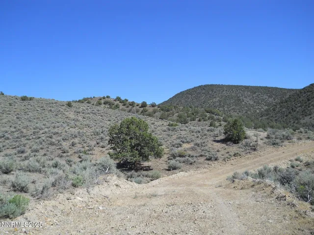 a view of a dry yard