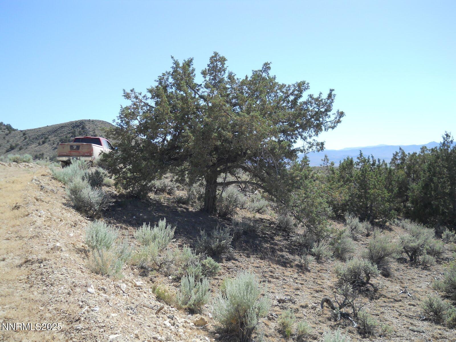 8210 Ml Crk Road Battle Mountain, NV 89820 - Photo 13 of 25 a view of a dry yard with lots of bushes