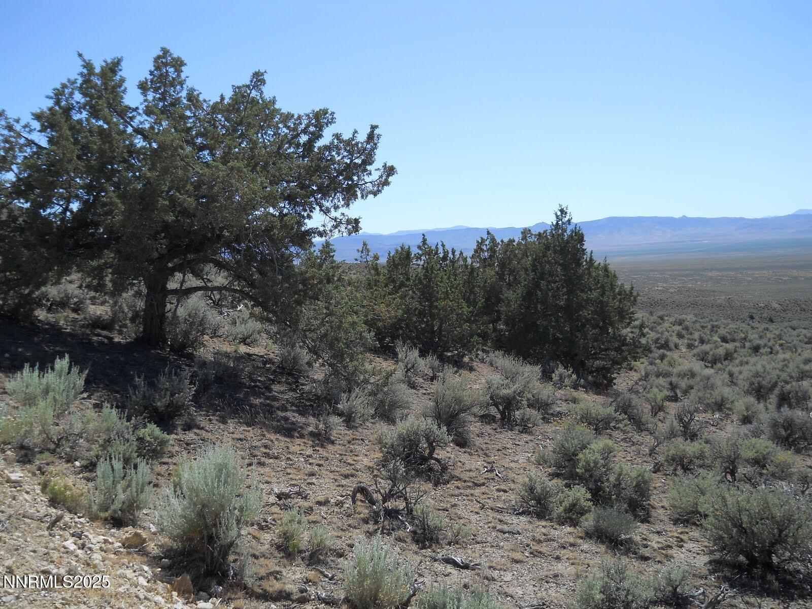 8210 Ml Crk Road Battle Mountain, NV 89820 - Photo 14 of 25 a view of a yard with a tree