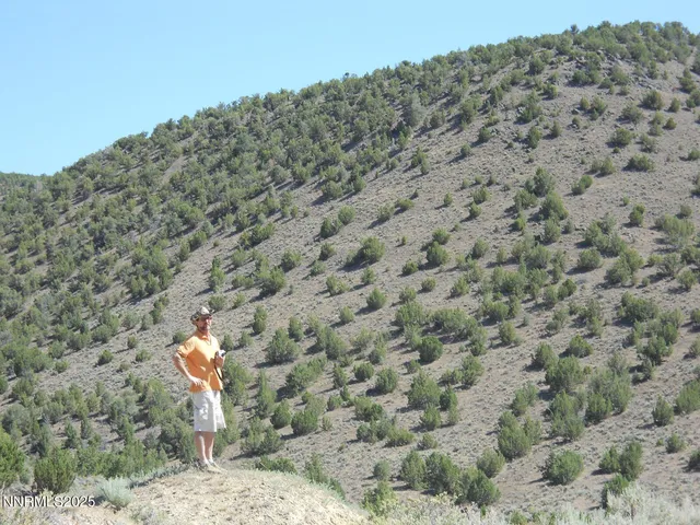 a view of a dry yard with a mountain