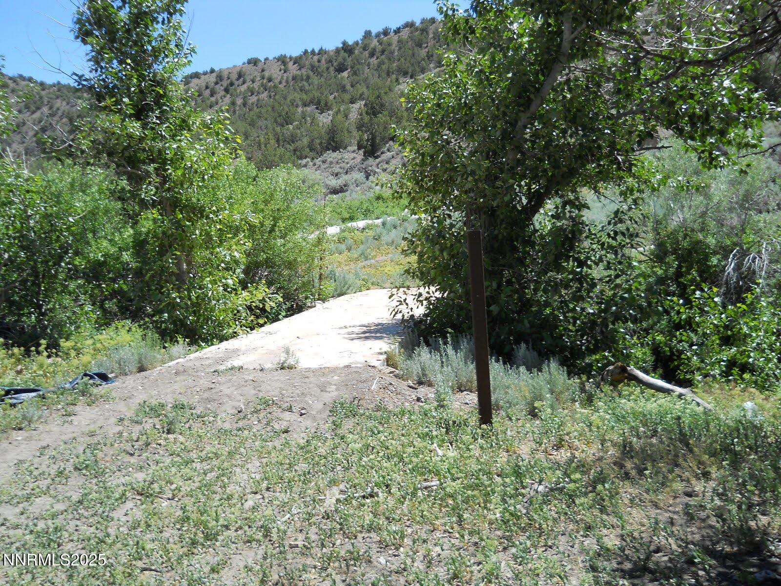 8210 Ml Crk Road Battle Mountain, NV 89820 - Photo 2 of 25 a view of a forest with a tree