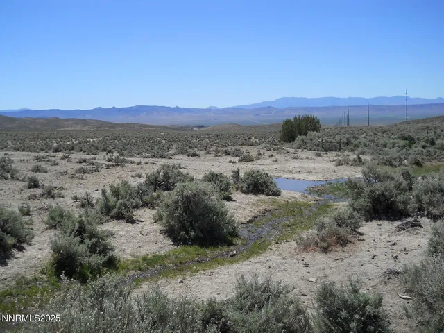 a view of a dry yard with trees