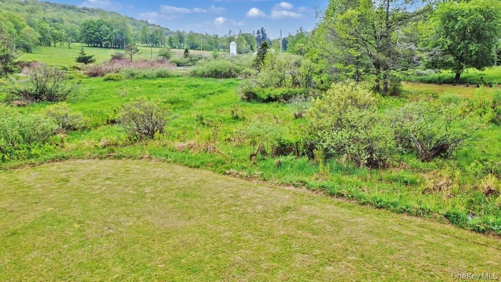 308 William Brown Road Fremont, NY 12741 - Photo 10 of 33 a view of a field of grass and trees