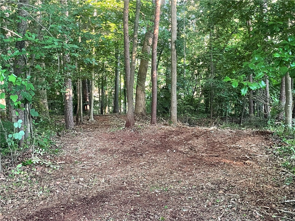 206 Park Road Townville, SC 29689 - Photo 5 of 9