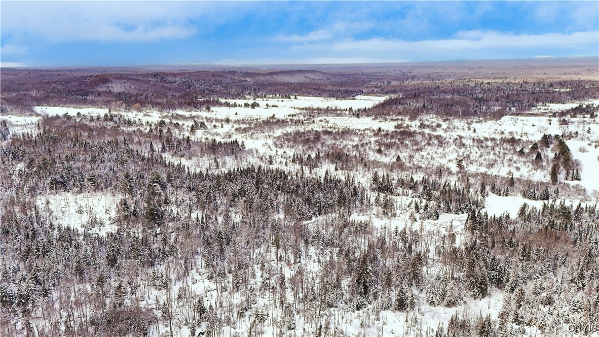 Fisher Road Cold Brook, NY 13324 - Photo 3 of 7