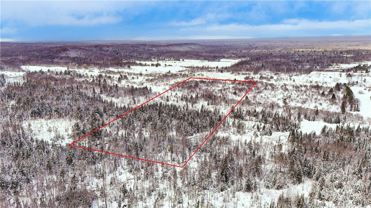 Fisher Road Cold Brook, NY 13324 - Photo 4 of 7