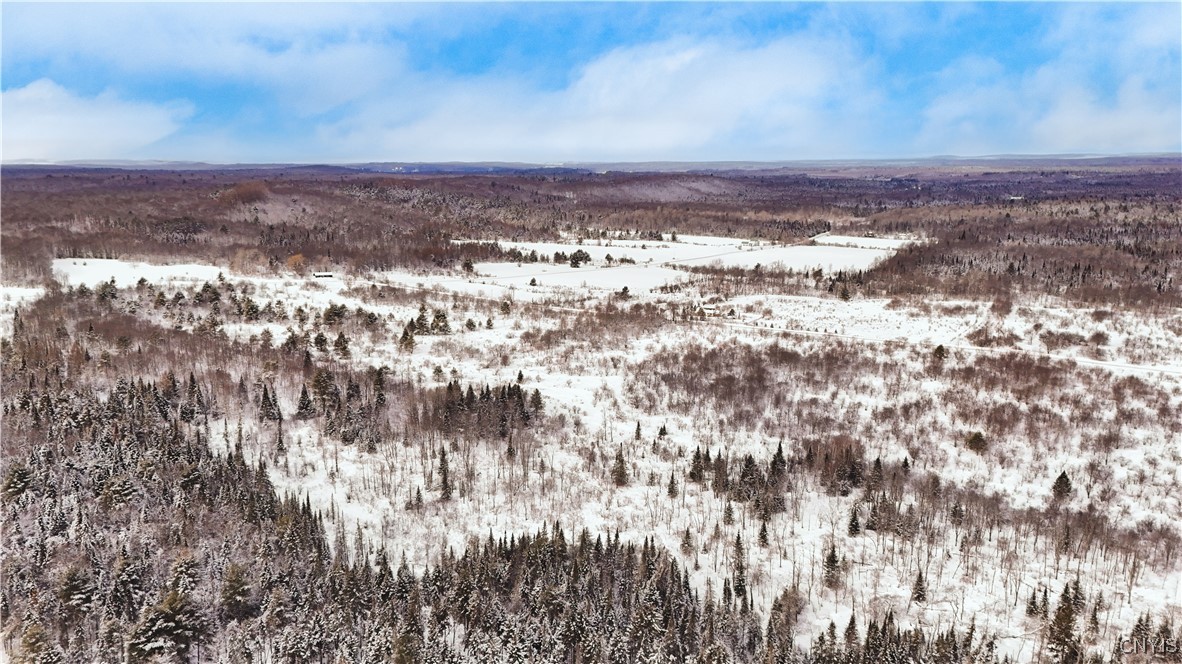 Fisher Road Cold Brook, NY 13324 - Photo 6 of 7